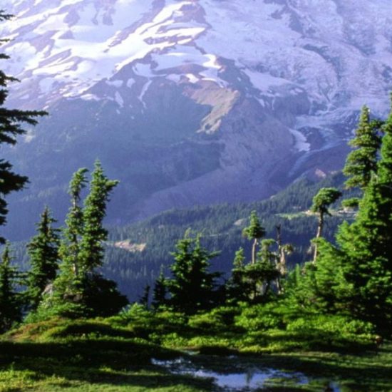 North east tour package