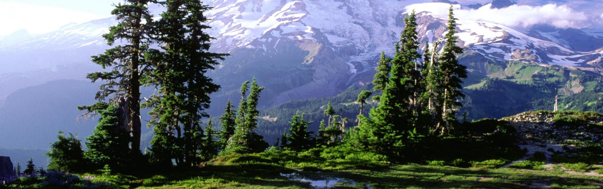 North east tour package