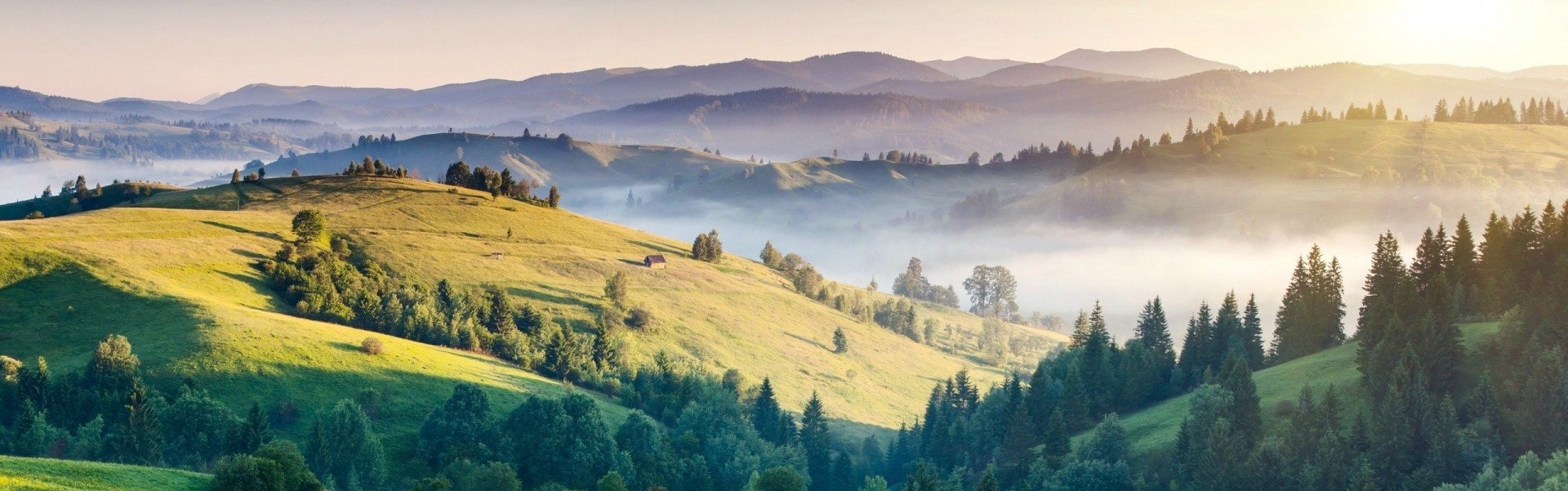 ooty tour package
